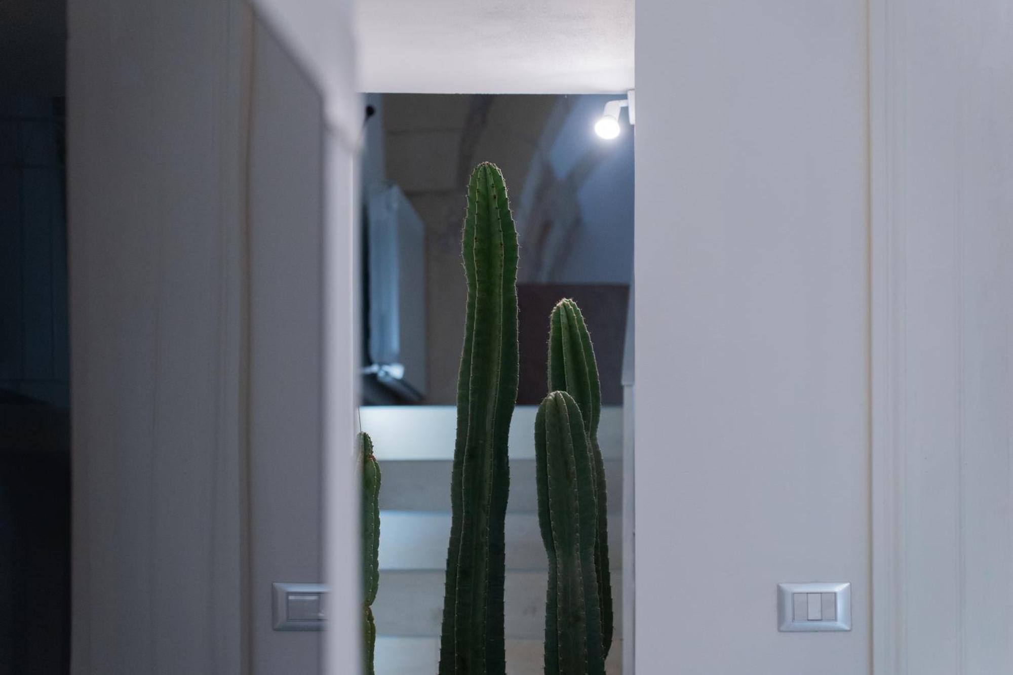 Dimora Barocca Luxury Suites Lecce Exteriér fotografie